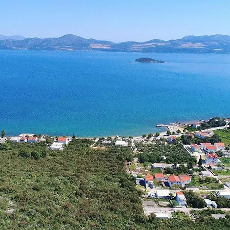 Gusti Drače